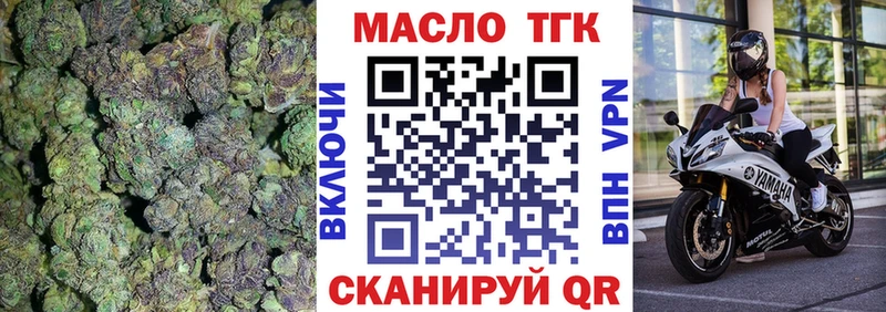 Купить где  Кыштым  ТГК концентрат 
