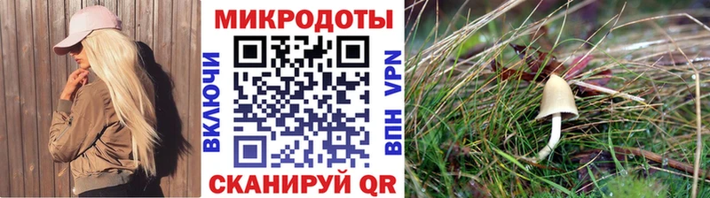 Купить  Кыштым  Псилоцибиновые грибы ЛСД 